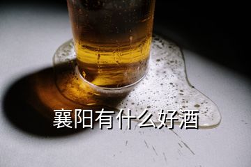 襄阳有什么好酒