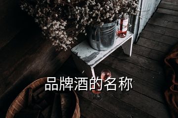 品牌酒的名称