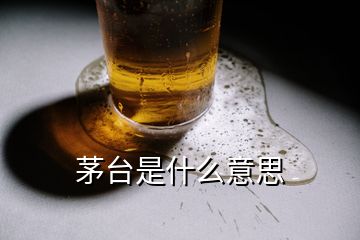 茅台是什么意思