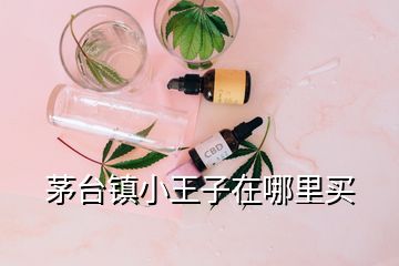 茅台镇小王子在哪里买