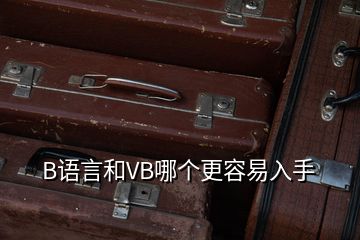 B语言和VB哪个更容易入手