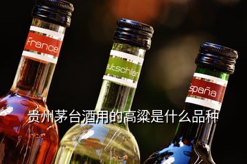 贵州茅台酒用的高粱是什么品种