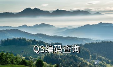 QS编码查询