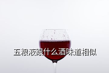 五粮液跟什么酒味道相似