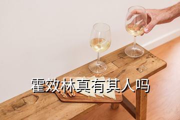 霍效林真有其人吗