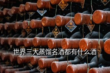 世界三大蒸馏名酒都有什么酒