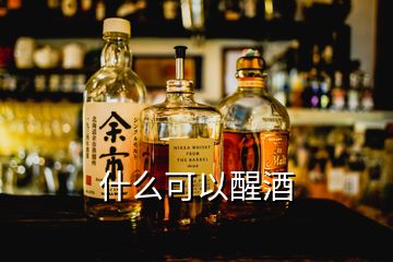 什么可以醒酒