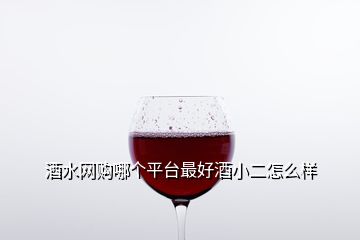 酒水网购哪个平台最好酒小二怎么样