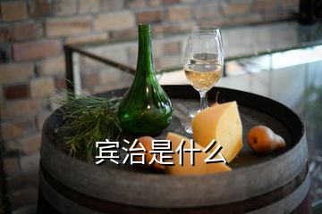 宾治是什么