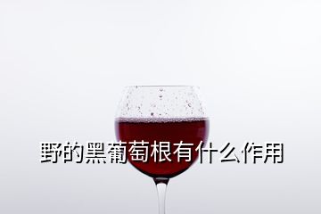 野的黑葡萄根有什么作用