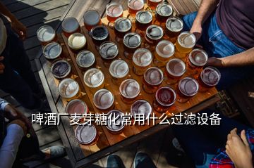 啤酒厂麦芽糖化常用什么过滤设备