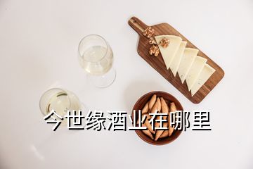 今世缘酒业在哪里