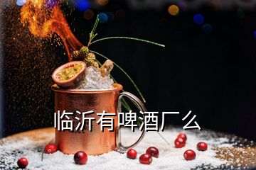 临沂有啤酒厂么