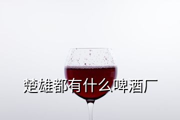 楚雄都有什么啤酒厂