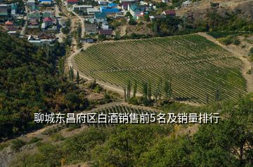 聊城东昌府区白酒销售前5名及销量排行