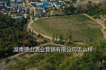 湖南德山酒业营销有限公司怎么样