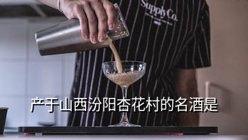 产于山西汾阳杏花村的名酒是