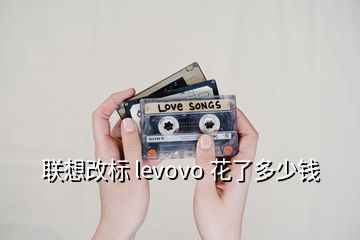 联想改标 levovo 花了多少钱