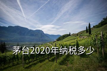 茅台2020年纳税多少