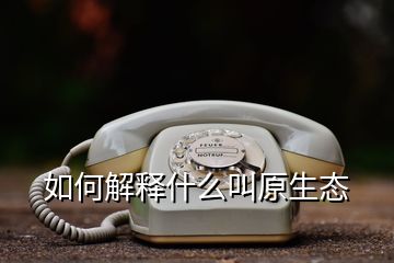 如何解释什么叫原生态