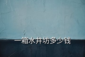 一箱水井坊多少钱