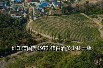 谁知道国尧1973 45白酒多少钱一瓶