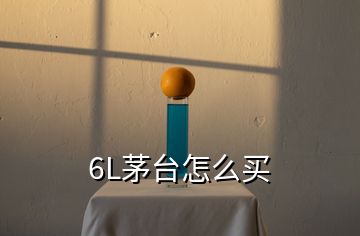 6L茅台怎么买