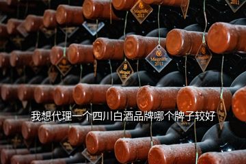 我想代理一个四川白酒品牌哪个牌子较好