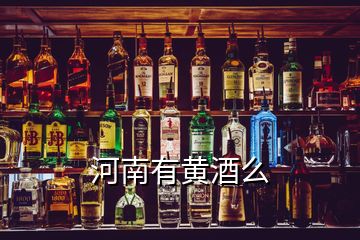 河南有黄酒么