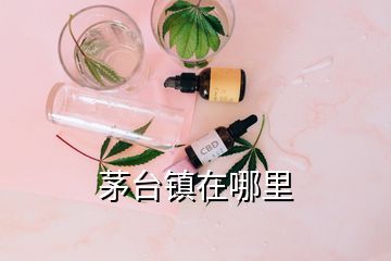 茅台镇在哪里