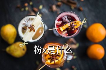 粉x是什么