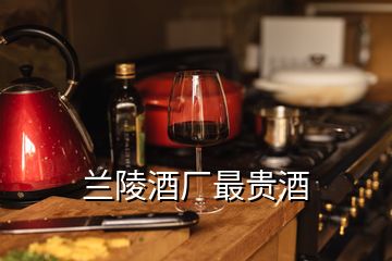 兰陵酒厂最贵酒