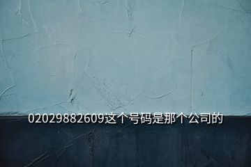 02029882609这个号码是那个公司的