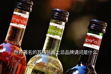 世界著名的苏格兰威士忌品牌请问是什么