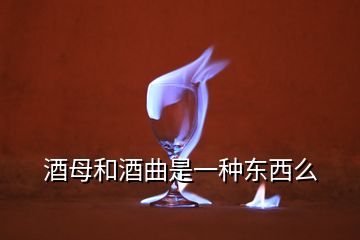 酒母和酒曲是一种东西么