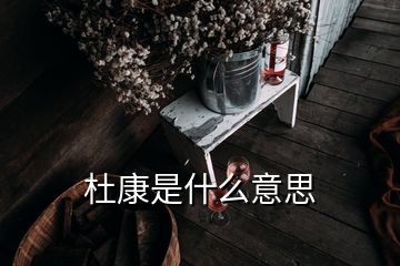 杜康是什么意思