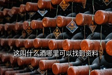 这叫什么酒哪里可以找到资料