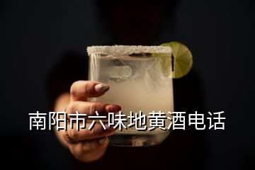 南阳市六味地黄酒电话