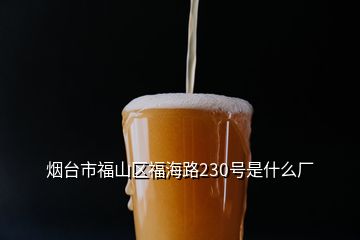 烟台市福山区福海路230号是什么厂