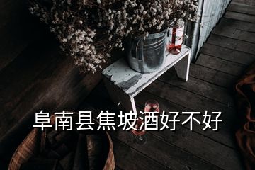 阜南县焦坡酒好不好