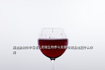 甜酒酿制作中有哪几类微生物参与发酵作用各自起什么作用