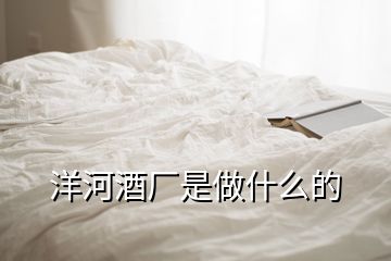 洋河酒厂是做什么的