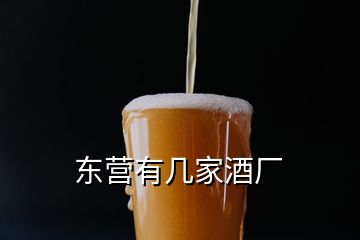 东营有几家酒厂