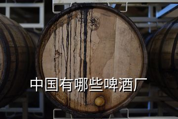 中国有哪些啤酒厂