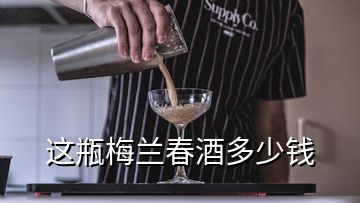 这瓶梅兰春酒多少钱