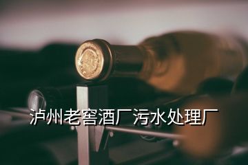 泸州老窖酒厂污水处理厂