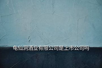 龟仙洞酒业有限公司是上市公司吗