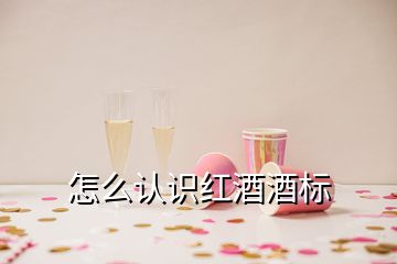 怎么认识红酒酒标