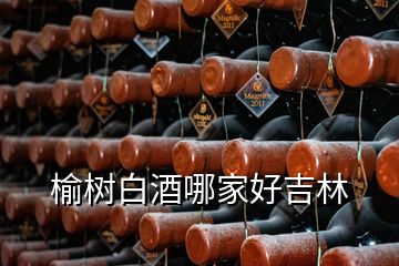 榆树白酒哪家好吉林