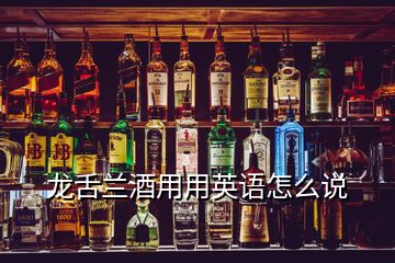 龙舌兰酒用用英语怎么说